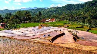 Suasana Seperti Ini yang Bikin Kangen Kampung Halaman | 4K