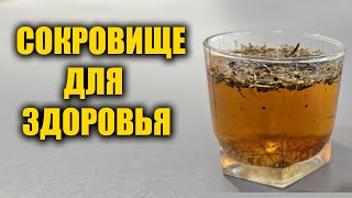 СТАКАН в ДЕНЬ и летаю весь день! Разжижает кровь, для суставов, замедлит процесс старения.