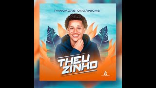 PANCADAS ORGANICAS THEUZINHO