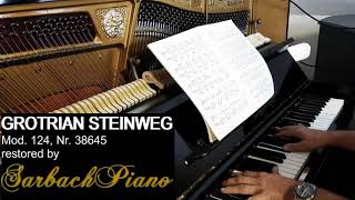 Grotrian Steinweg 38645