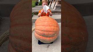 Giant Pumpkin🎃weigh in !! How heavy was it ? #giant #pumpkin #weight #how #heavy #fun #fall #shorts