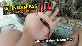 Setingan Pas Mancing Uceng dan Wader Di arus Deras - Micro Fishing #microfishing #mancingwader