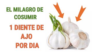 Beneficios del ajo crudo. descubre los beneficios de un diente de ajo al dia.