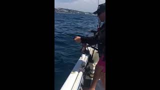 Pesca Vara Offshore Jigging Rod In Field