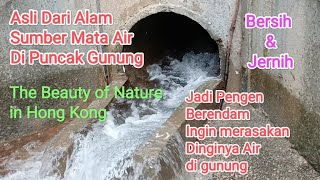 Heran ⁉️ Melihat Sumber Mata Air Di Puncak Gunung Hong Kong