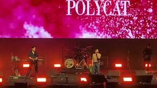 (07)2024-09-08-POLYCAT-มันเป็นใคร & อาวรณ์-JAM JAM ASIA Festival@臺北流行音樂中心