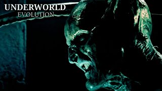 UNDERWORLD: EVOLUTION (2006) MARCUS AWAKENS (FULL HD)