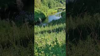 Beautiful River In UK