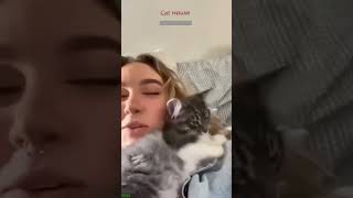 Cat Funny Videos 😅 #trending 😹 #cathouse #1595