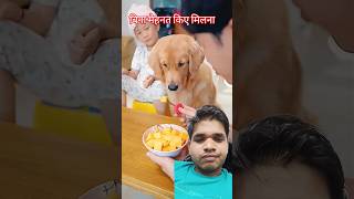 डॉग#shotsfeed #viralvideo #viralvideo #reelsindia #trending #trendingshorts #viralvideo #reels