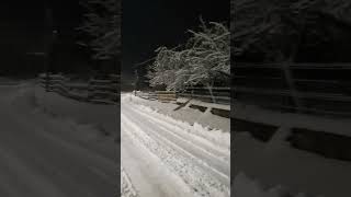 Pași liniștiți pe zăpada proaspătă din Beliș, în timp ce fulgii de nea dansează încet din cer ❄️👣🌨️