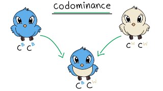 Codominance and it's example. Non Mendelian Inheritance. Genetics Lecture