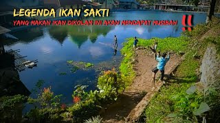 Warga Setempat Tidak Berani Memakan Ikan Yang Berada Dikolam ini,Padahal Ikannya Besar besar