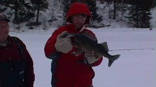 Ice Fishing Ontario Canada- Big Walleye