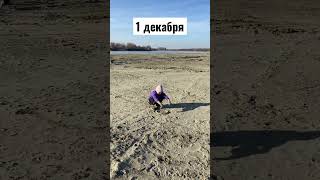 #первыйденьзимы #1декабря