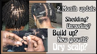 How to D.I.Y sisterlocs, micrlocs & interlock 2 MONTH UPDATE & what to expect