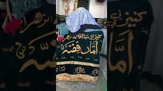 Holy Shrine of Ama Fizza س #karbala #love #yaabbasas #yahussain #shrine #shiastatus #video #shorts