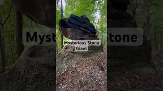 Mysterious Stone Giant: Discovering the Enigma in the Forest #discovery #mysterious #stone #hidden