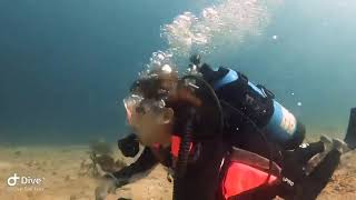 Open water Scuba diver