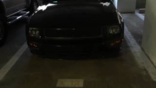 2009 Mustang Bullitt - Meet Hammerhead