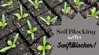 Next Level Soil Blocking! Swiftblocker!