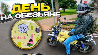 ОН ВАМ НЕ МОПЕД ! Самый ПОЗИТИВНЫЙ МОТОЦИКЛ! HONDA MONKEY