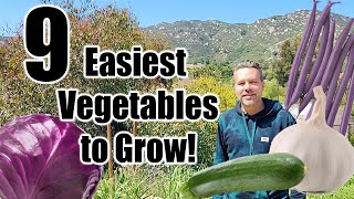 9 Easiest Vegetables to Grow