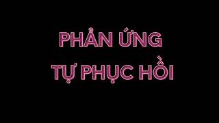 Phản ứng tự phục hồi của cơ thể khi sử dụng nhiệt hồng ngoại xa trên thảm đá nóng Carefit