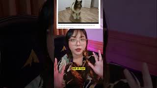 Siapakah manusia anjing Toco? Part 2 #shorts #toco