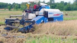 Mobil Potong Padi Mesin Panen Padi Tercepat #263