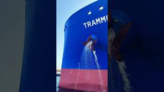 Secuences168#video #sorts #big #blue #Trammo París. /Alí 🦈🔱