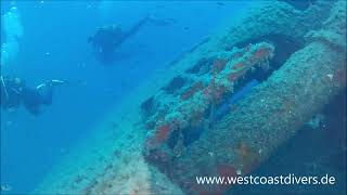 Palma Wrecks