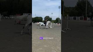 #horse #equestrian #лошадь #конкур #конныйспорт #коні #кіннийспорт #showjumping #українськийютуб