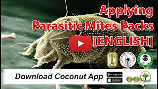 Applying Parasitic mites Packs [ENGLISH]