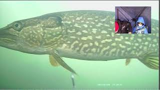 Ice fishing Wisconsin underwater footage! *big northern on camera*