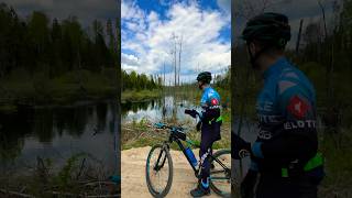 Chic dirt roads #roads #bicycle #nature #gravelbike