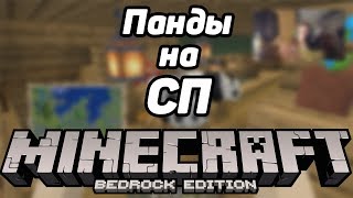 #СПБ - ПАНДЫ на НОВОМ СЕРВЕРЕ #СП на BEDROCK EDITION