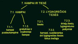 7. Kampai ir tiesės