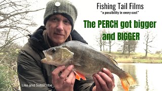 Furnace Brook PERCH got bigger and bigger during exciting session #perch #perchfishing #fishing