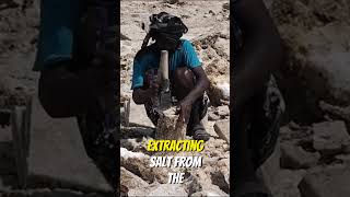 Beyond Earth: Bizarre Wonders of the Danakil Depression | Bizarre Places Epi 2 #shorts