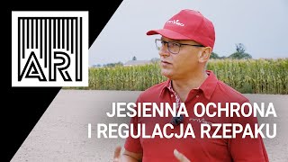 Jesienna ochrona i regulacja rzepaku vs termin siewu. Presja szkodników? || AR #162