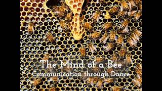 The Mind of a Bee - Communication Through Dance