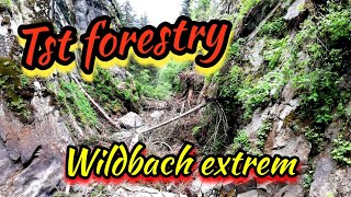 🌲TsT forestry🌲 Wildbach freischneiden extrem ⚠️ 🇦🇹