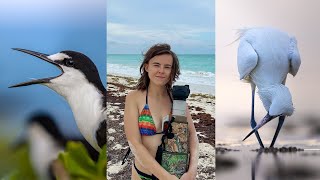 Finding Wildlife in Mexico: Sooty terns, Howler Monkeys & Pelicans! 🇲🇽 Cancun, Rio Lagartos, Tulum