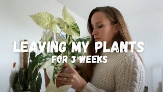 Prepping to Leave my Plants for 3 Weeks Away