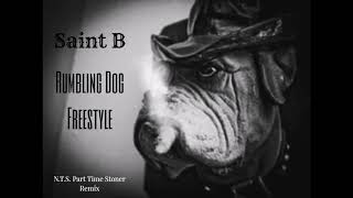 Saint B   Rumbling Dog Freestyle