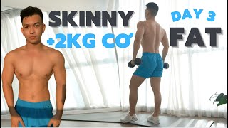 SKINNY FAT sắp đẹp rồi, bơm thêm xíu CƠ BẮP nhé | SERIES 8 TUẦN CHO NGƯỜI GẦY MỠ BỤNG