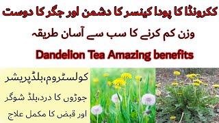 Green Dandelion leaves || Dandelion Tea Amazing benefits | Dandelion flower | How To use dandelion