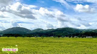 Green Field View For Relaxing