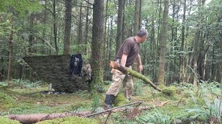 Bushcraft Shelter, standing dead trees,cutting and selecting.Preparing frame logs and moving them.